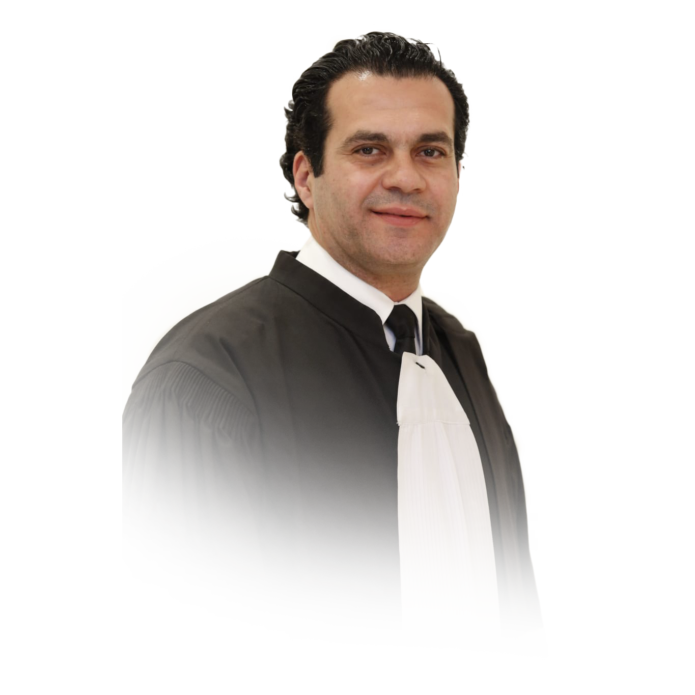 The Lawyer Amile Aoun